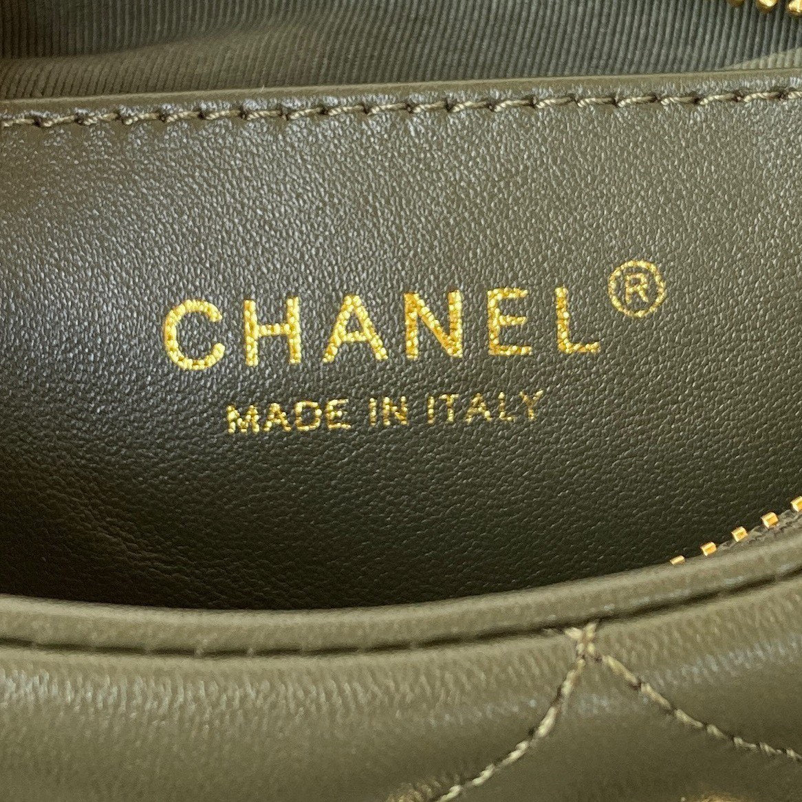 Soft Olive Underarm Hobo Bag