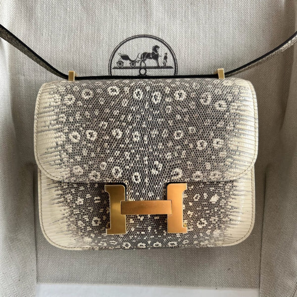 Constance Lizard Ombre Bag – Limited Edition Luxury Inspired