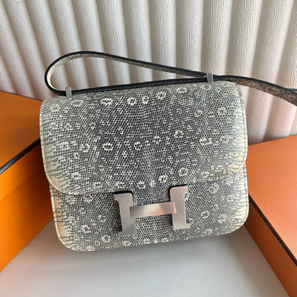 Constance Lizard Ombre Bag – Limited Edition Luxury Inspired