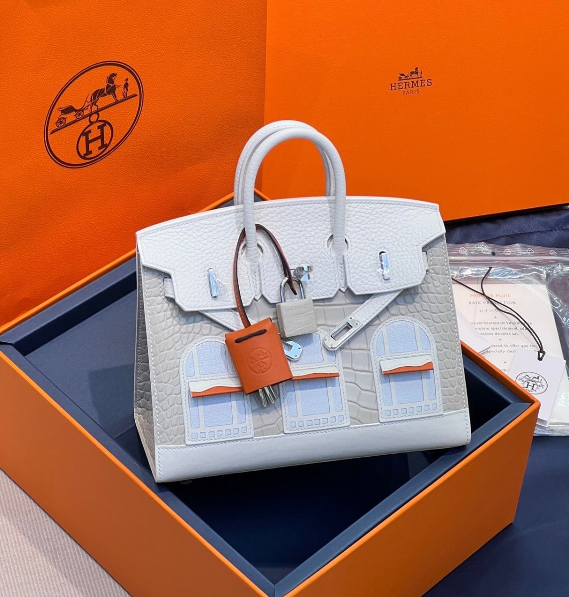 Classic Birkin 20 Sellier Faubourg Snow Handbag