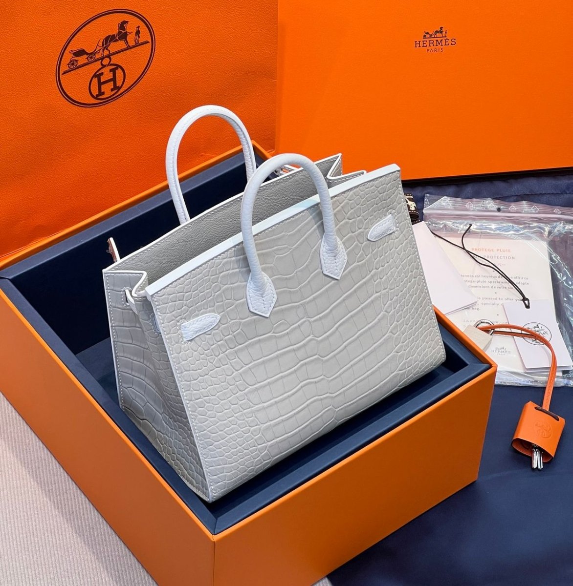 Classic Birkin 20 Sellier Faubourg Snow Handbag