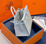 Classic Birkin 20 Sellier Faubourg Snow Handbag