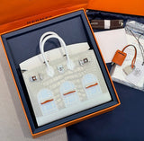 Classic Birkin 20 Sellier Faubourg Snow Handbag