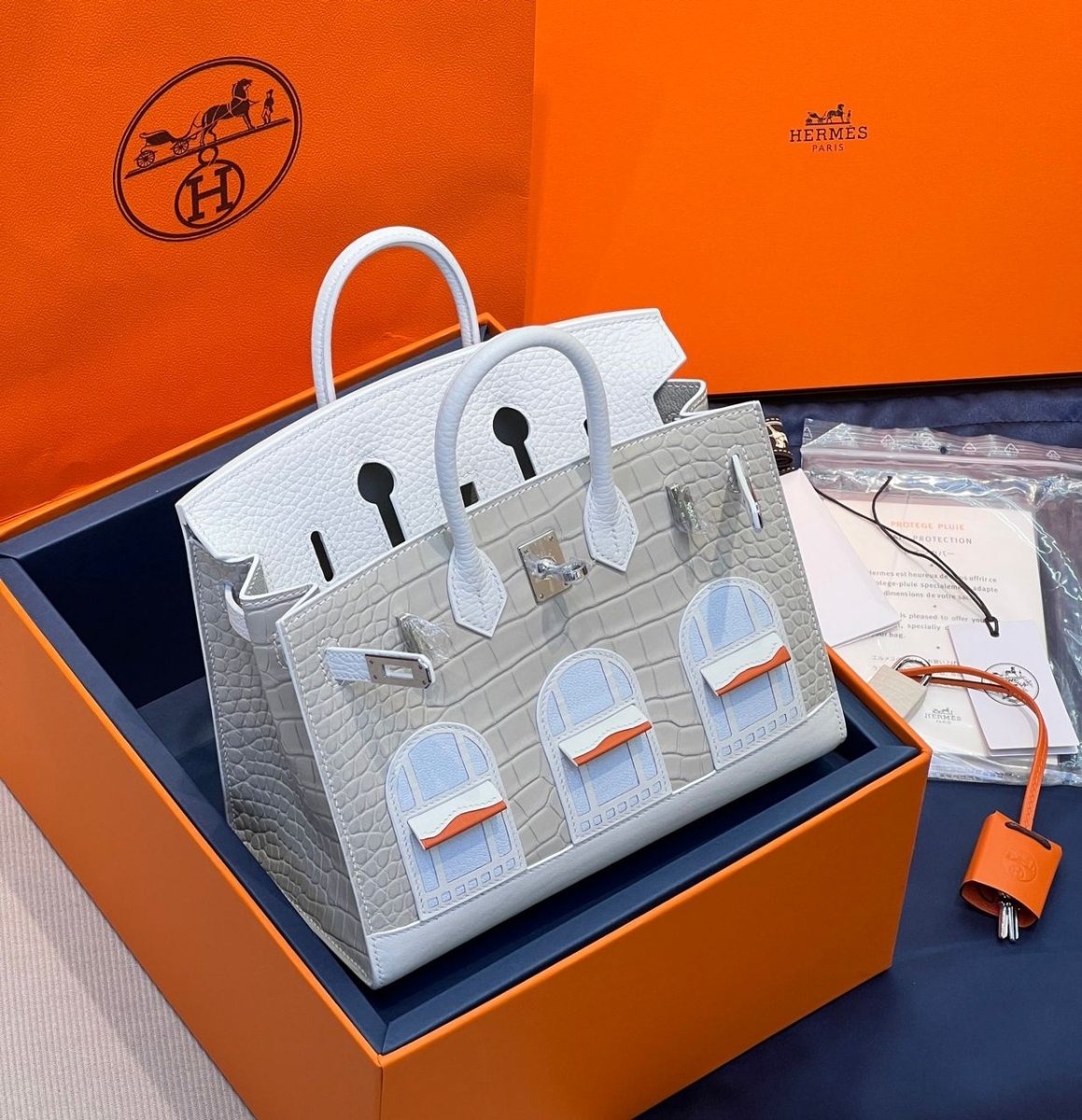 Classic Birkin 20 Sellier Faubourg Snow Handbag