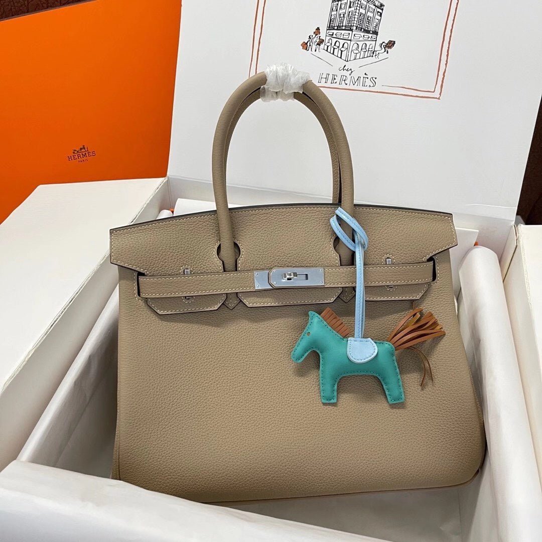 Classic Birkin Handbag with Gold Hardware