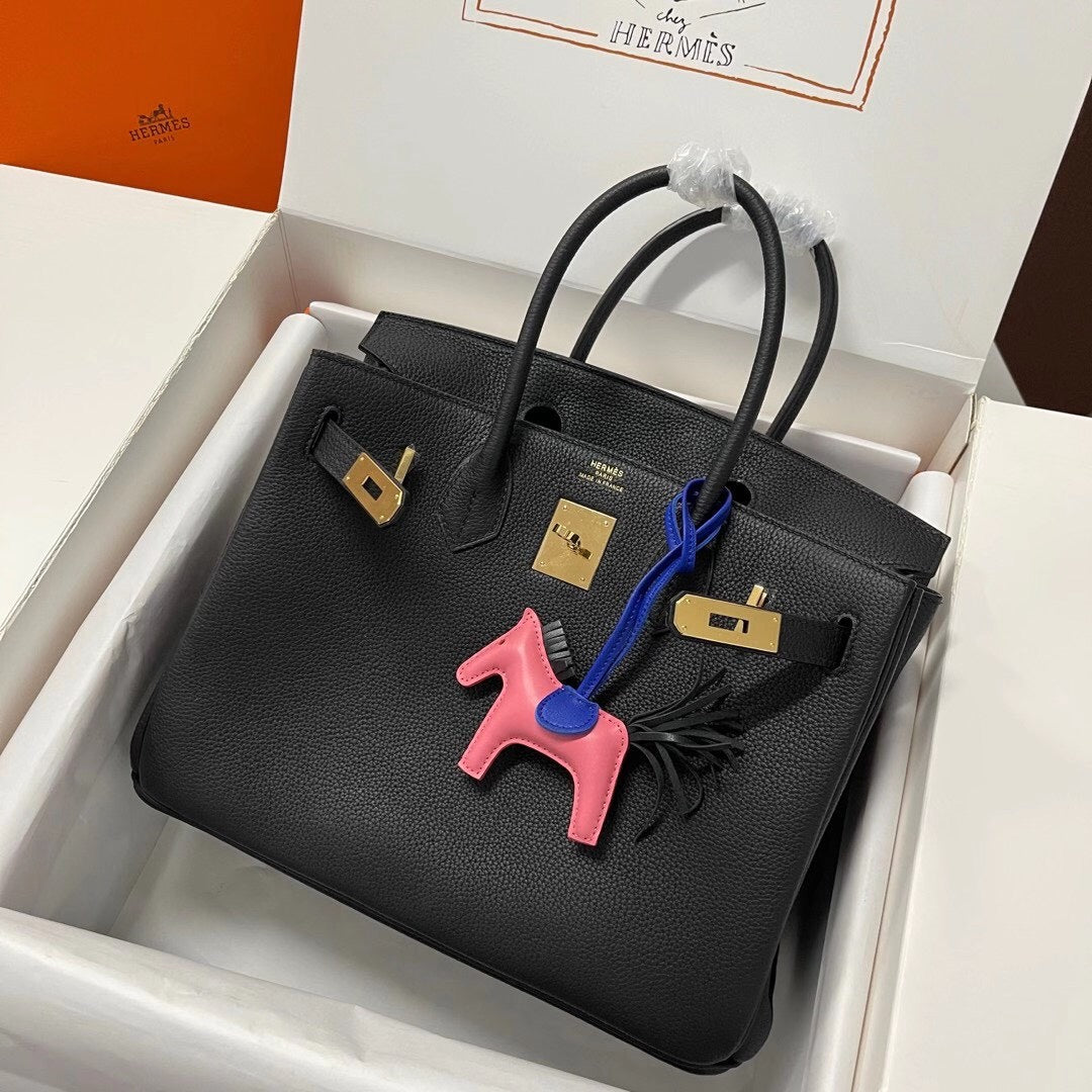 Classic Birkin Handbag with Gold Hardware