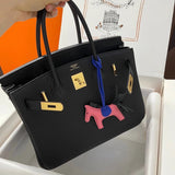 Classic Birkin Handbag with Gold Hardware