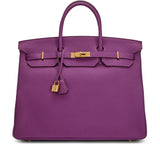 Classic Birkin Handbag with Gold Hardware