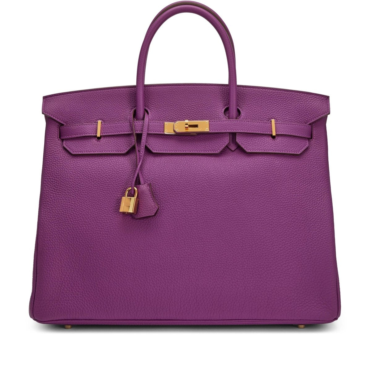 Classic Birkin Handbag with Gold Hardware