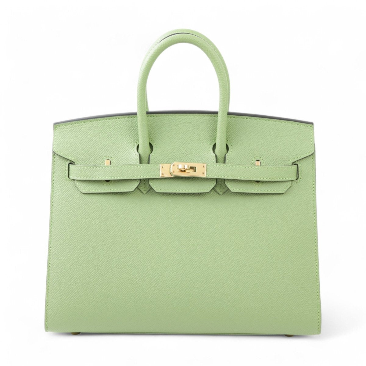 Classic Birkin Handbag with Gold Hardware