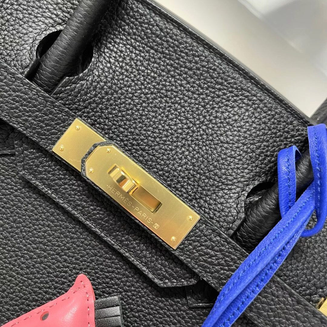 Classic Birkin Handbag with Gold Hardware