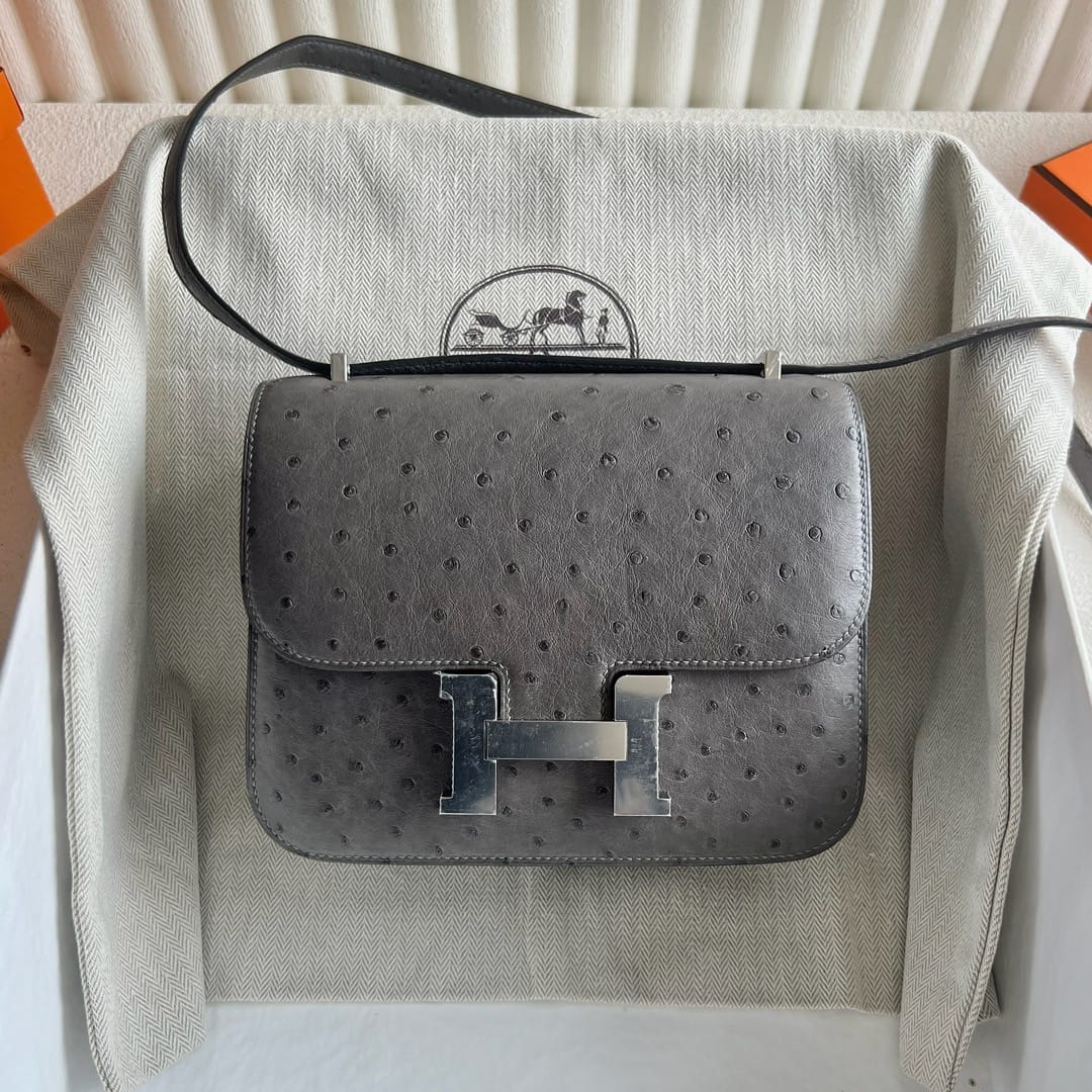 Constance 24 Ostrich Leather Bag – Dual Hardware Luxury Inspired