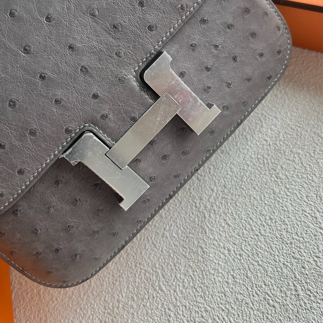 Constance 24 Ostrich Leather Bag – Dual Hardware Luxury Inspired