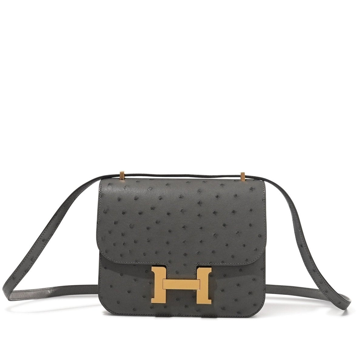 Constance 24 Ostrich Leather Bag – Dual Hardware Luxury Inspired
