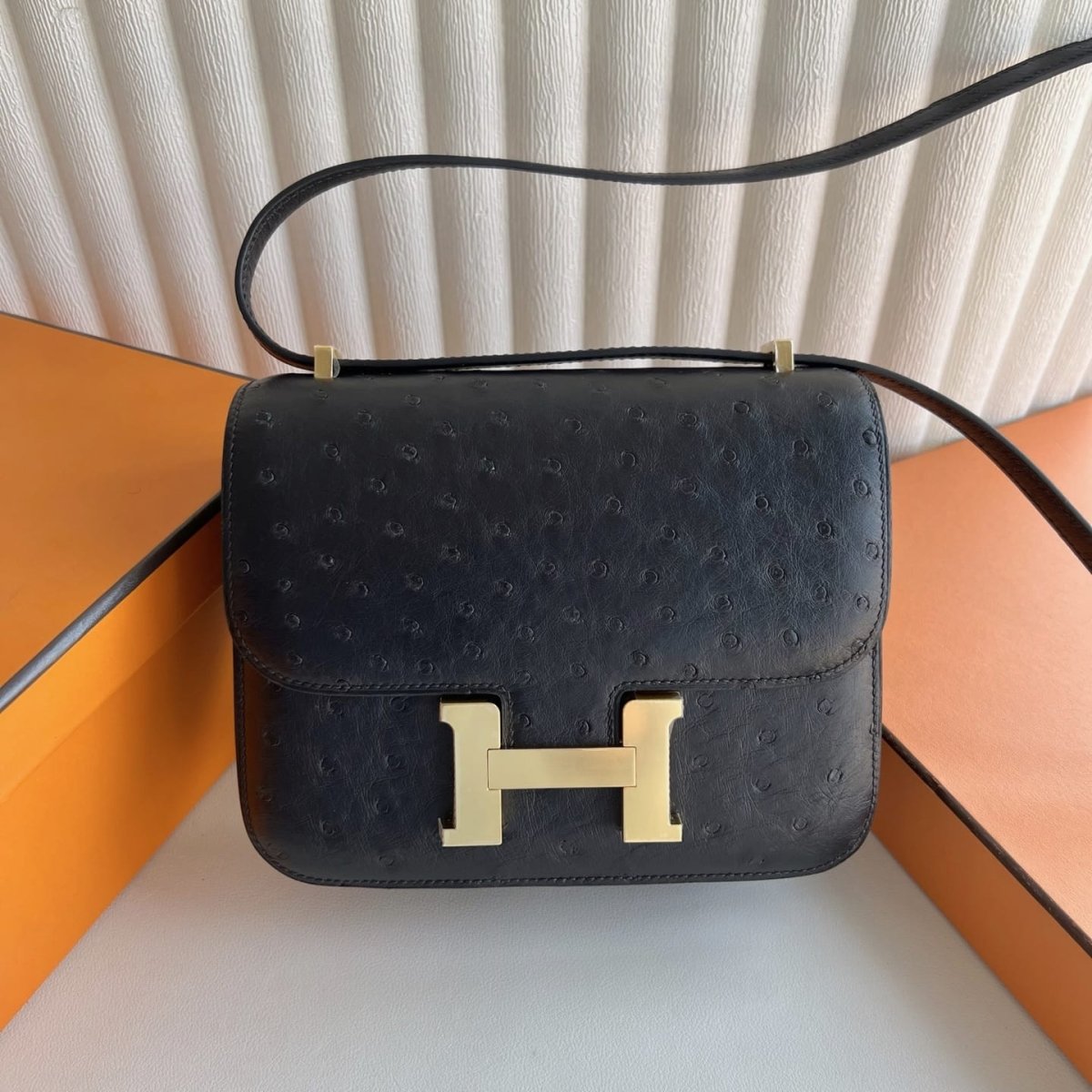 Constance 24 Ostrich Leather Bag – Dual Hardware Luxury Inspired