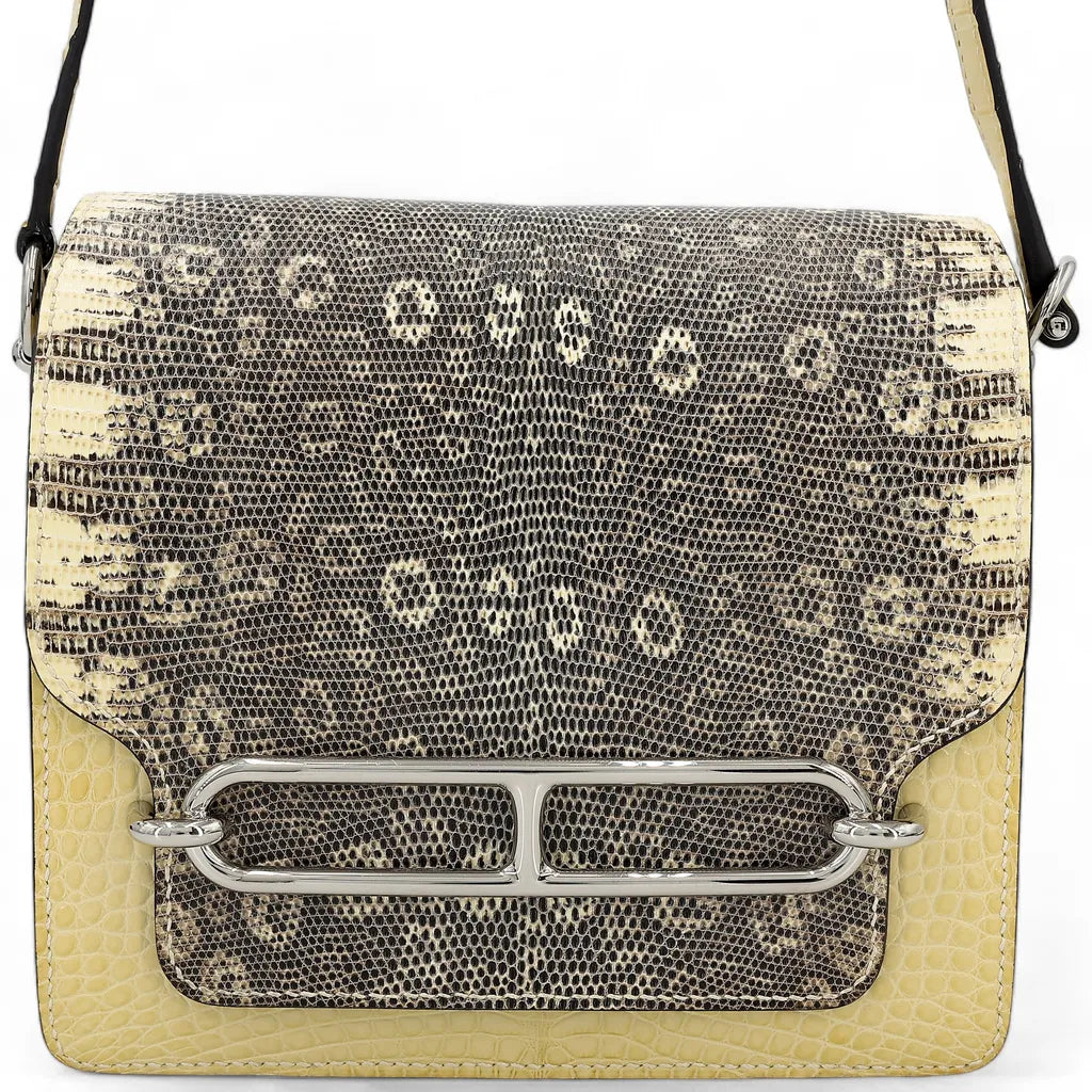 Roulis Mini Ombre Bag – Luxury Inspired Bags