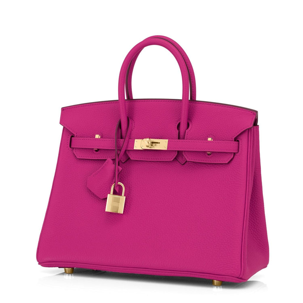 Classic Birkin Handbag with Gold Hardware