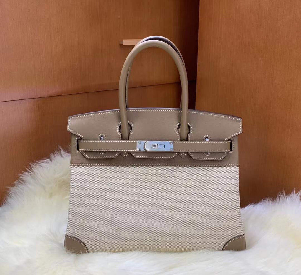 Classic Toile Birkin Handbag with Silver Hardware